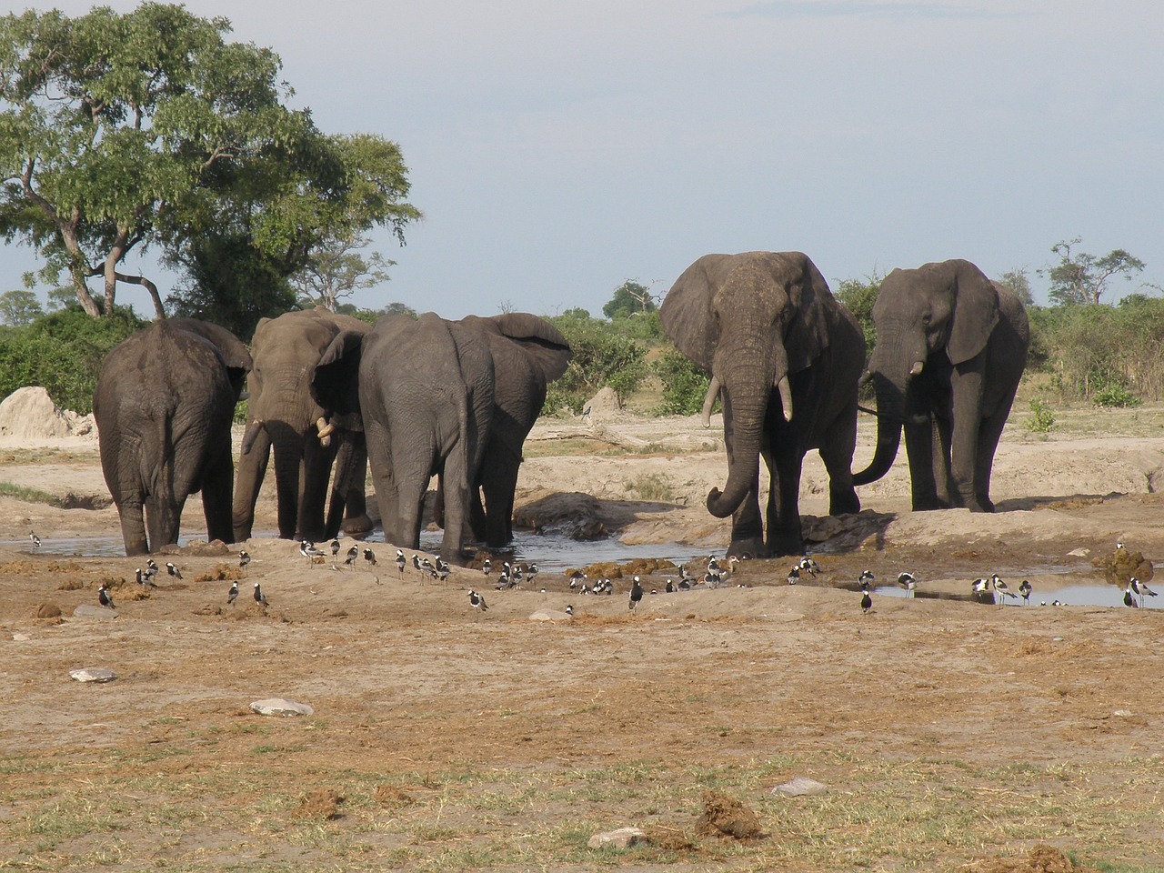 Discovering the Hidden Corners of Botswana’s Okavango Delta